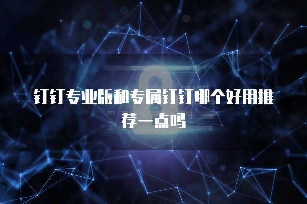 钉钉专业版和专属钉钉哪个好用推荐一点吗