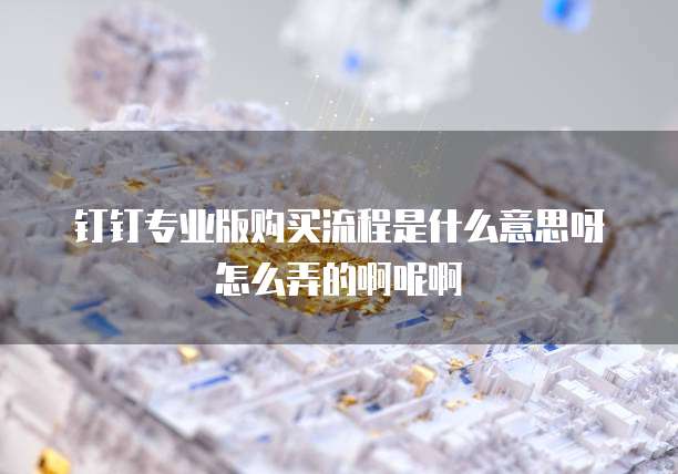 钉钉专业版购买流程是什么意思呀怎么弄的啊呢啊
