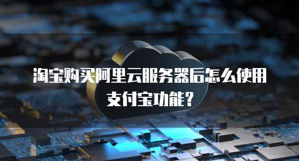 淘宝购买阿里云服务器后怎么使用支付宝功能?