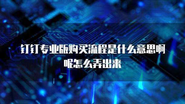 钉钉专业版购买流程是什么意思啊呢怎么弄出来