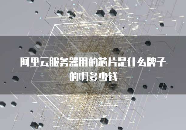 阿里云服务器用的芯片是什么牌子的啊多少钱
