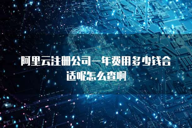 阿里云注册公司一年费用多少钱合适呢怎么查啊