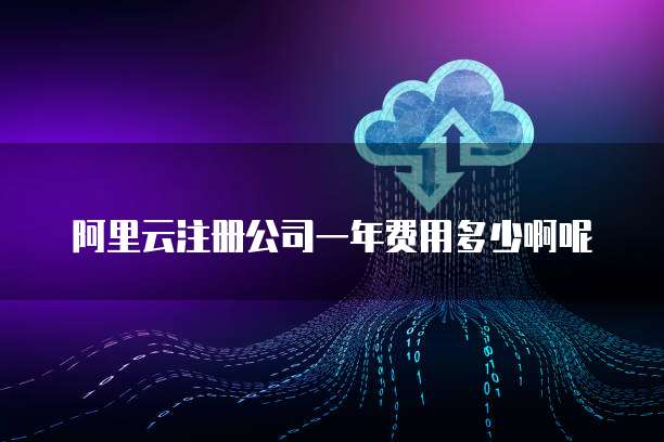 阿里云注册公司一年费用多少啊呢