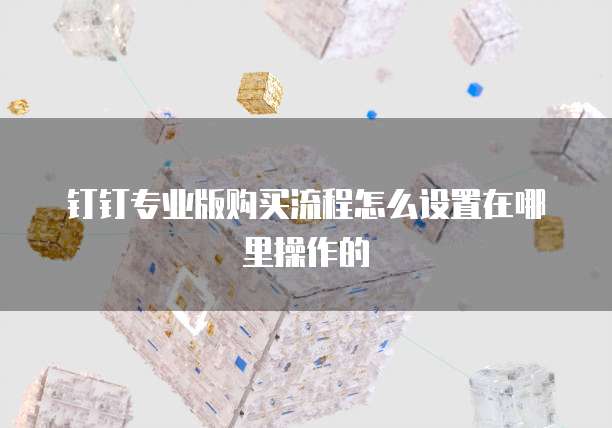 钉钉专业版购买流程怎么设置在哪里操作的