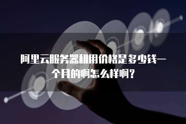阿里云服务器租用价格是多少钱一个月的啊怎么样啊?