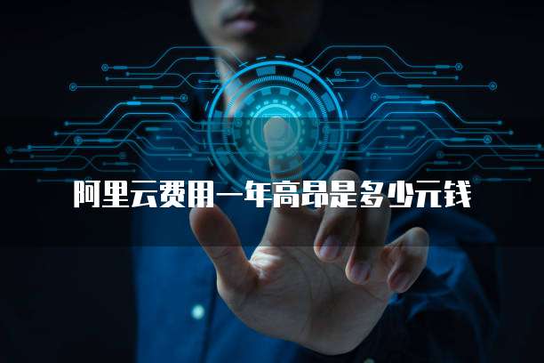 阿里云费用一年高昂是多少元钱
