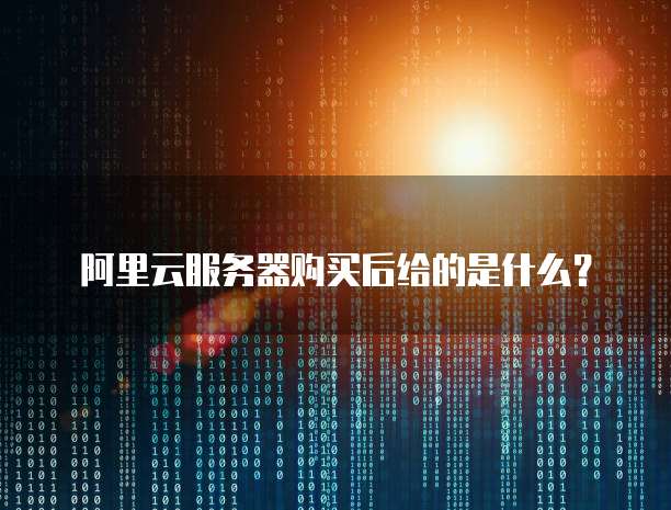 阿里云服务器购买后给的是什么?