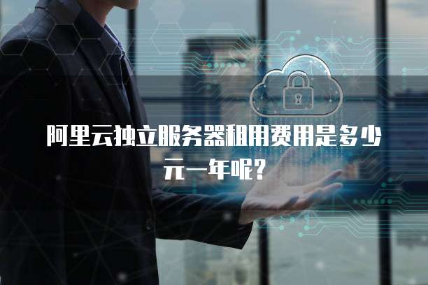 阿里云独立服务器租用费用是多少元一年呢?