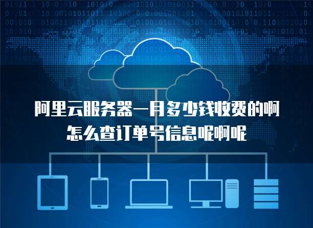 阿里云服务器一月多少钱收费的啊怎么查订单号信息呢啊呢