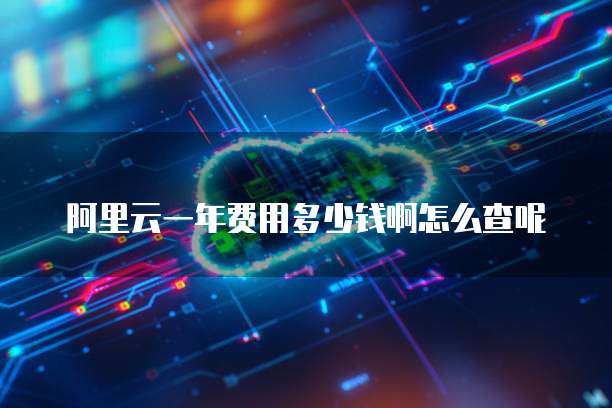 阿里云一年费用多少钱啊怎么查呢