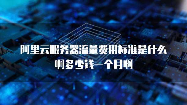阿里云服务器流量费用标准是什么啊多少钱一个月啊
