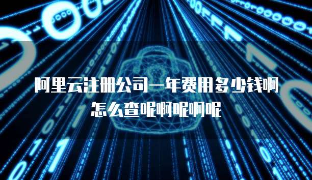 阿里云注册公司一年费用多少钱啊怎么查呢啊呢啊呢