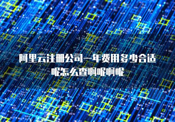 阿里云注册公司一年费用多少合适呢怎么查啊呢啊呢