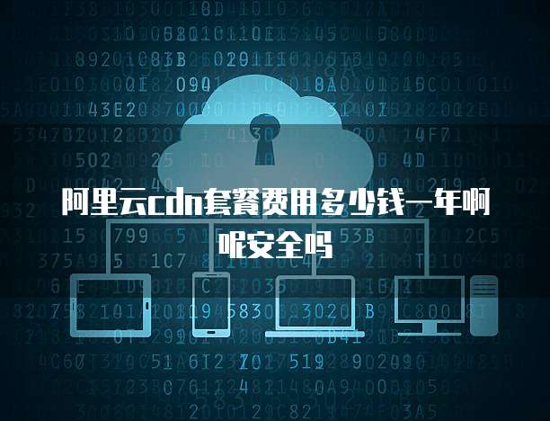 阿里云cdn套餐费用多少钱一年啊呢安全吗