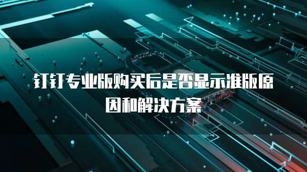 钉钉专业版购买后是否显示准版原因和解决方案
