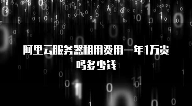 阿里云服务器租用费用一年1万贵吗多少钱