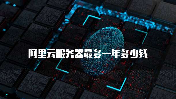 阿里云轻量应用服务器:卡吗?安全吗?