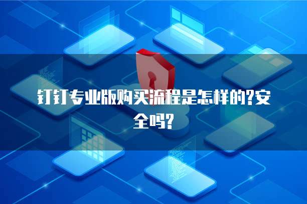 钉钉专业版购买流程是怎样的?安全吗?