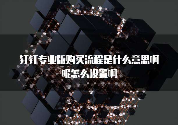 钉钉专业版购买流程是什么意思啊呢怎么设置啊