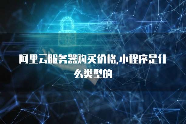阿里云服务器购买价格,小程序是什么类型的