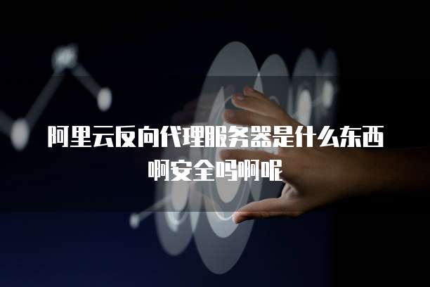 阿里云反向代理服务器是什么东西啊安全吗啊呢