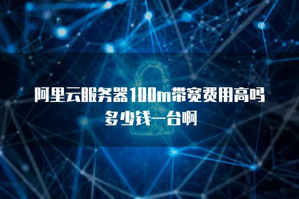 阿里云服务器100m带宽费用高吗多少钱一台啊