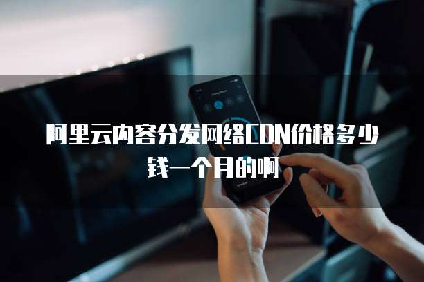 阿里云内容分发网络CDN价格多少钱一个月的啊