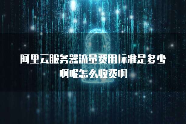 阿里云服务器流量费用标准是多少啊呢怎么收费啊