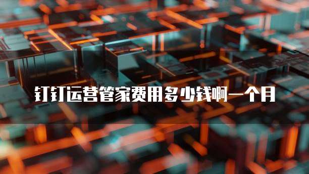 钉钉专业版与普通版区别在哪儿啊怎么设置密码
