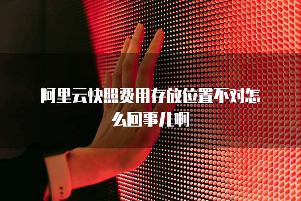 阿里云快照费用存放位置不对怎么回事儿啊
