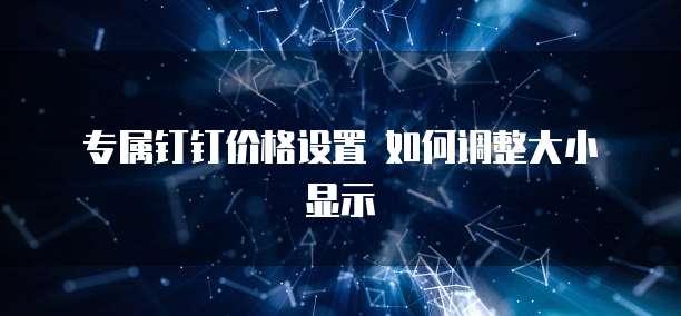  专属钉钉价格设置 如何调整大小显示