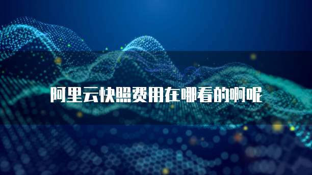 阿里云快照费用在哪看的啊呢