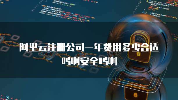 阿里云注册公司一年费用多少合适吗啊安全吗啊