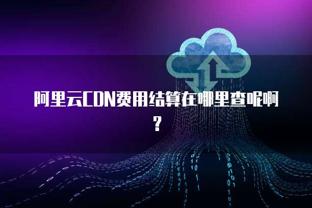 阿里云CDN费用结算在哪里查呢啊?