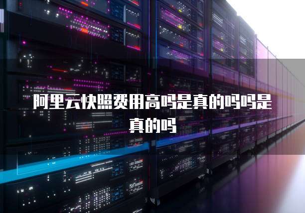 阿里云快照费用高吗是真的吗吗是真的吗