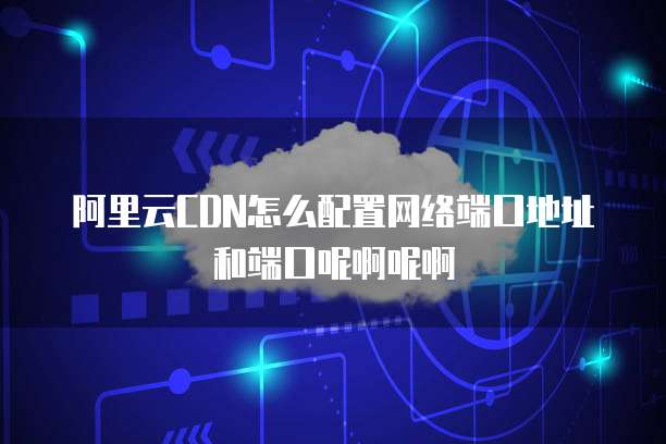 阿里云CDN怎么配置网络端口地址和端口呢啊呢啊
