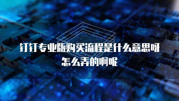 钉钉专业版购买流程是什么意思呀怎么弄的啊呢