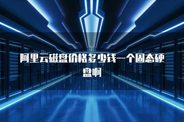 阿里云磁盘价格多少钱一个固态硬盘啊