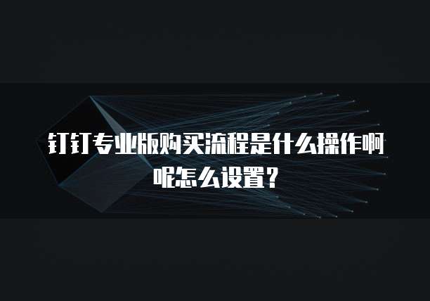 钉钉专业版购买流程是什么操作啊呢怎么设置?