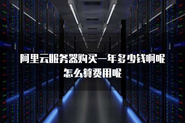 阿里云服务器购买一年多少钱啊呢怎么算费用呢