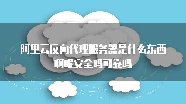 阿里云反向代理服务器是什么东西啊呢安全吗可靠吗