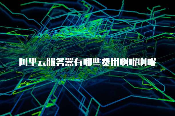 阿里云服务器有哪些费用啊呢啊呢