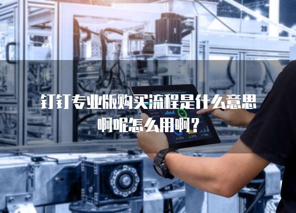 钉钉专业版购买流程是什么意思啊呢怎么用啊?