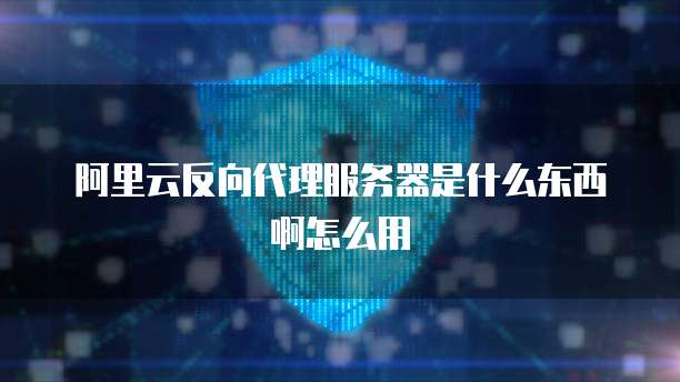 阿里云反向代理服务器是什么东西啊怎么用