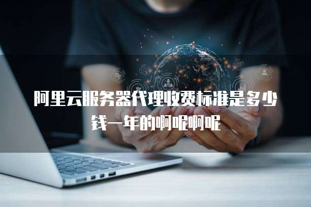 阿里云服务器代理收费标准是多少钱一年的啊呢啊呢