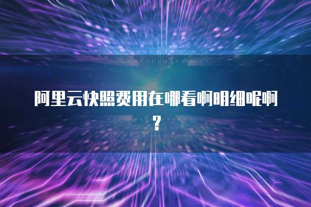 阿里云快照费用在哪看啊明细呢啊?