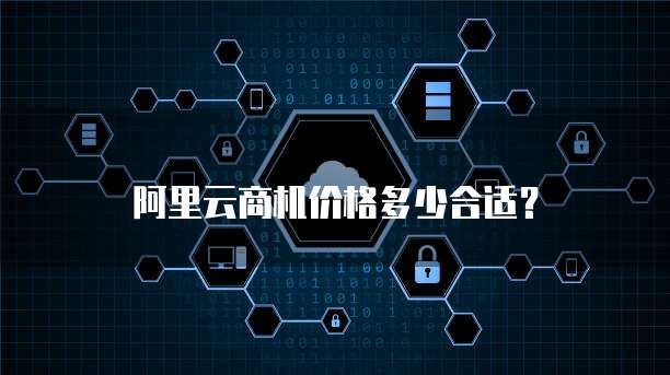 阿里云商机价格多少合适?