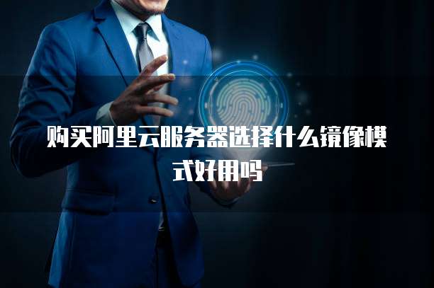 购买阿里云服务器选择什么镜像模式好用吗