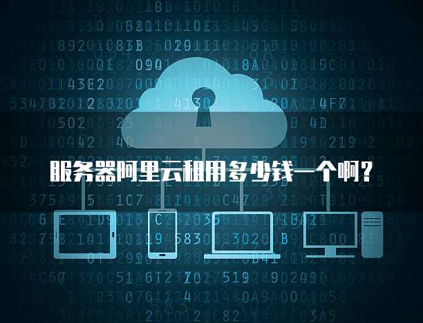 服务器阿里云租用多少钱一个啊?