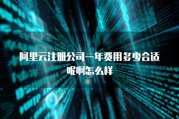 阿里云注册公司一年费用多少合适呢啊怎么样